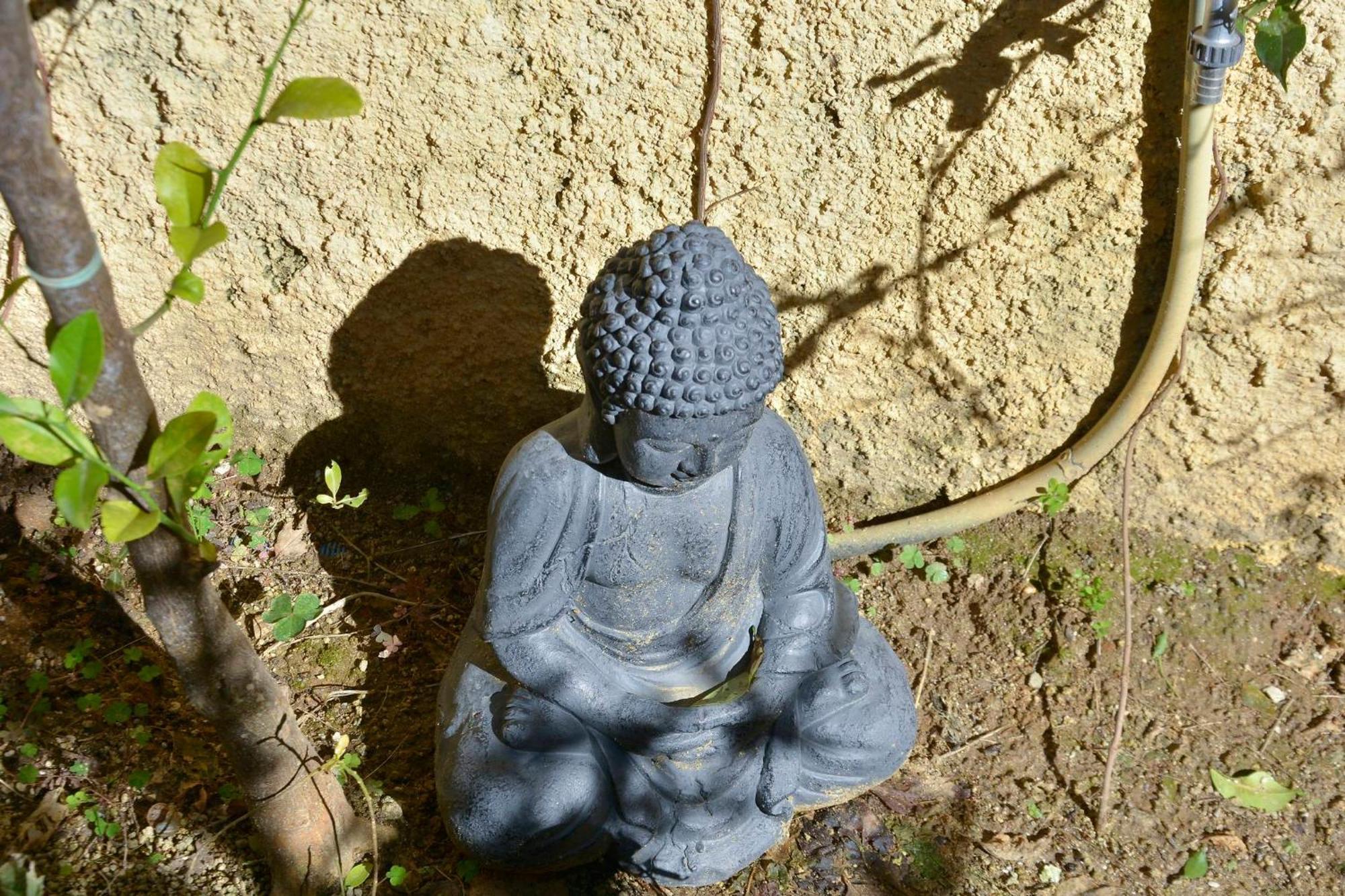 Τhe Hidden Garden Apartment Corfu  Ngoại thất bức ảnh