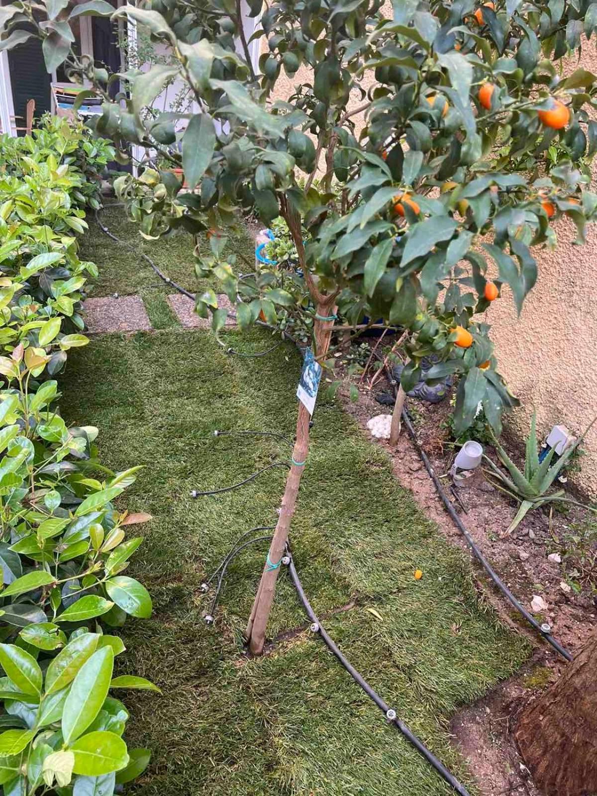 Τhe Hidden Garden Apartment Corfu  Ngoại thất bức ảnh