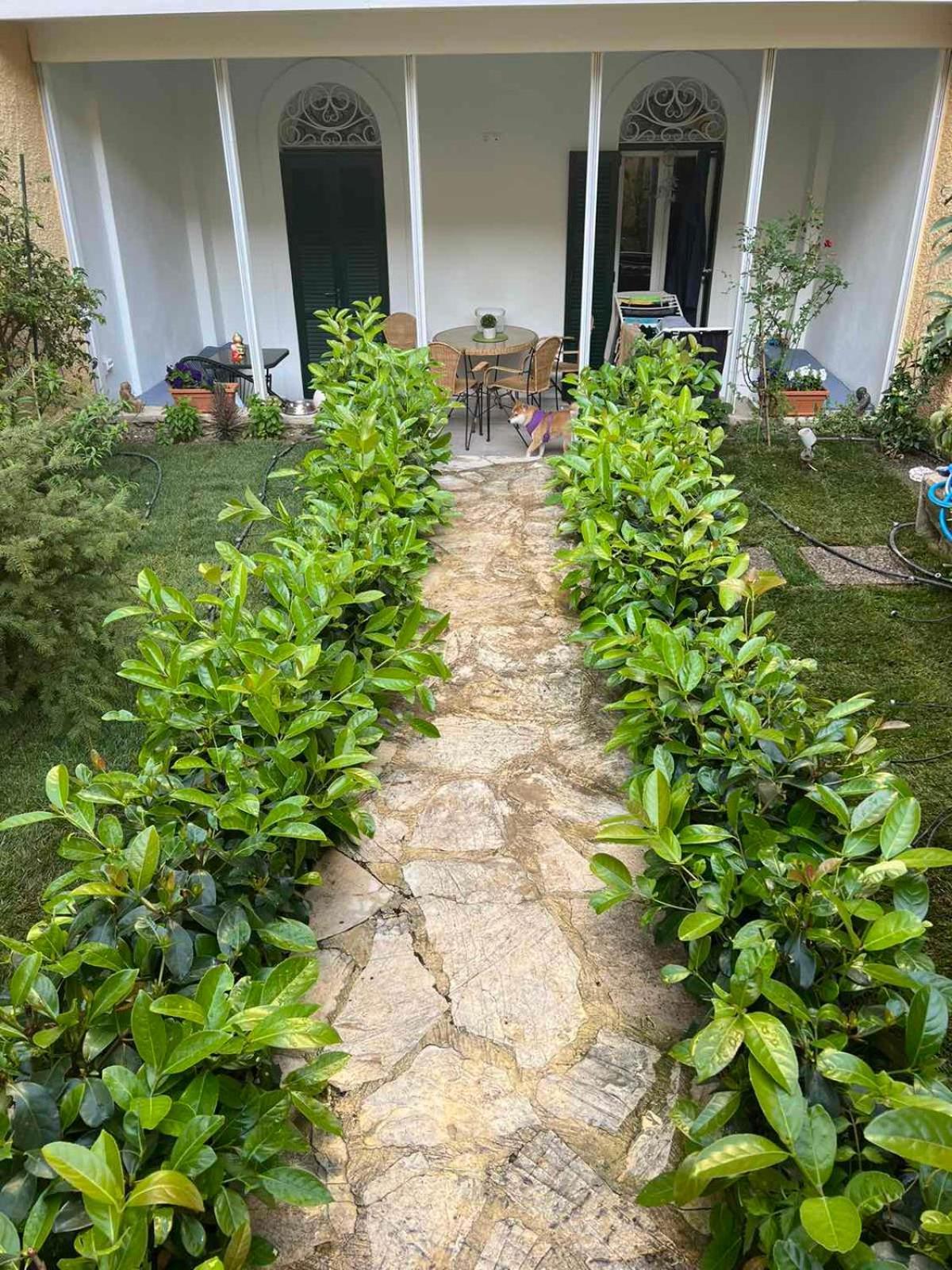 Τhe Hidden Garden Apartment Corfu  Ngoại thất bức ảnh