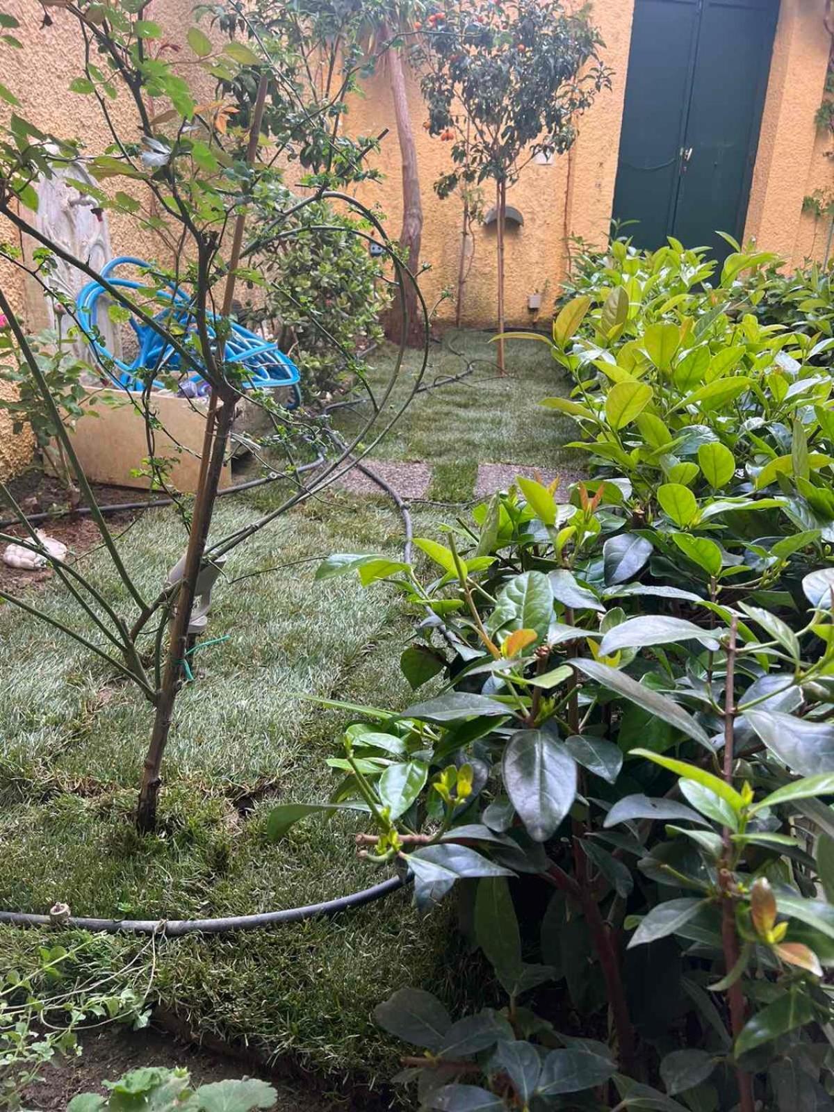 Τhe Hidden Garden Apartment Corfu  Ngoại thất bức ảnh