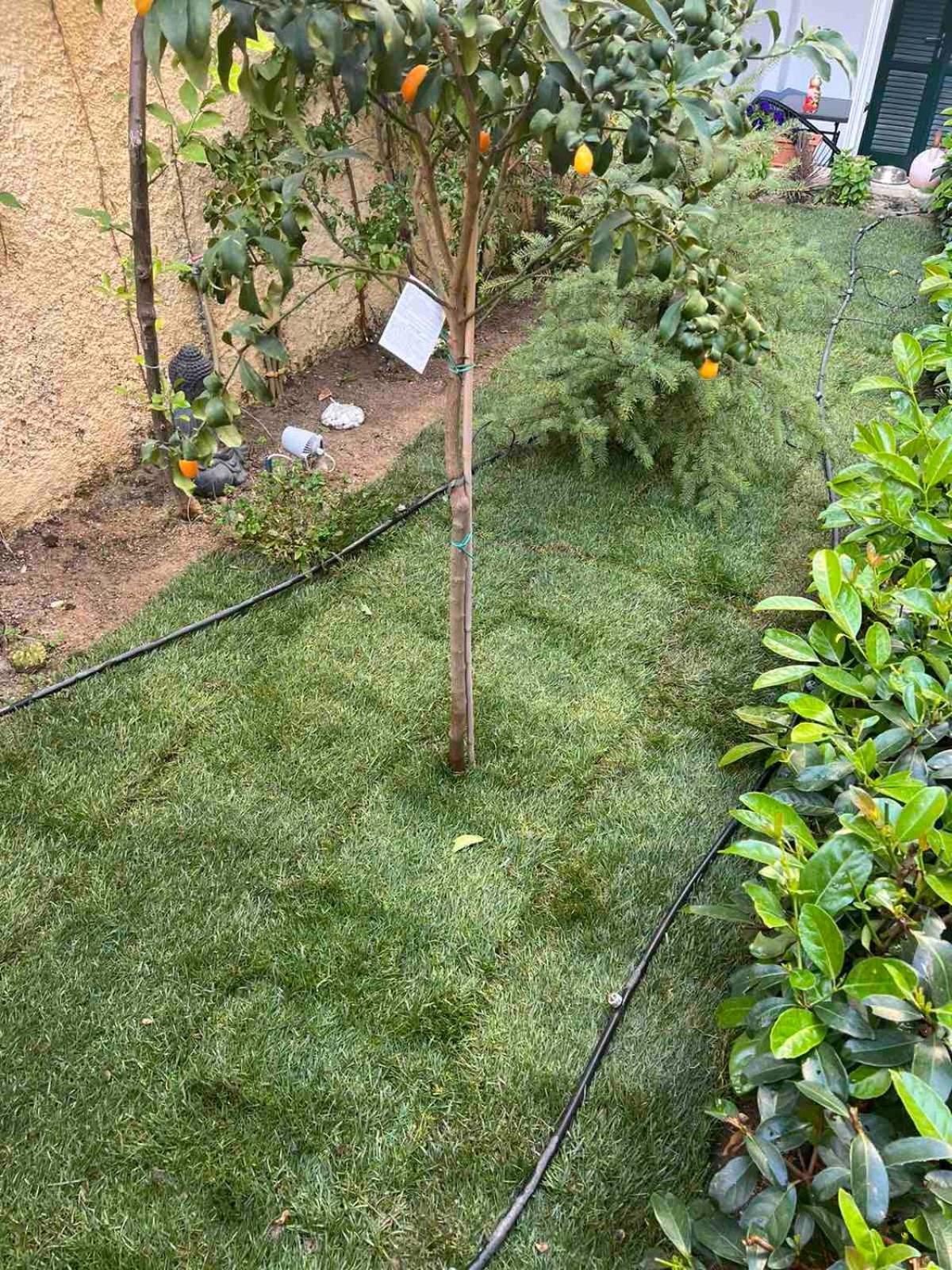 Τhe Hidden Garden Apartment Corfu  Ngoại thất bức ảnh